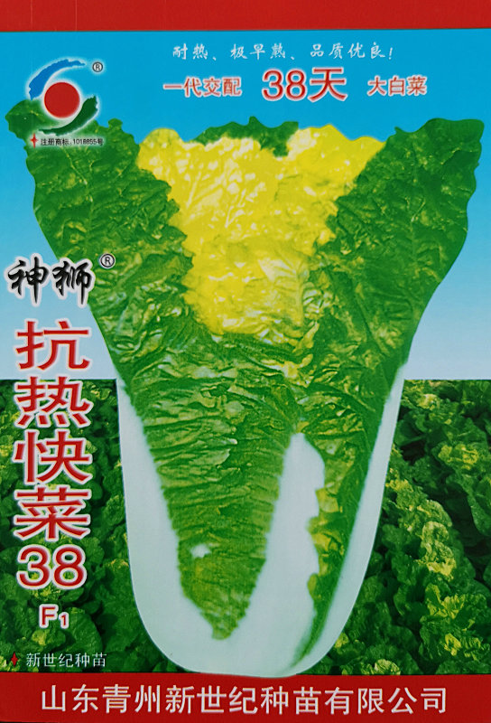 神狮抗热快菜38F1——精品快菜